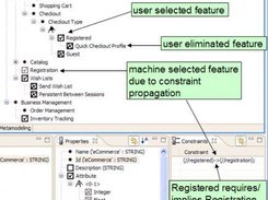 Feature Configuration, Properties, Constraints