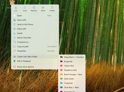 Collect into new folder right menu command