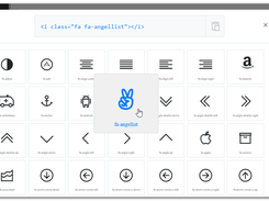 Choose an icon and click on it