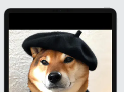 FontSnap Screenshot 2