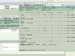 Footprints EMR Screenshot 1