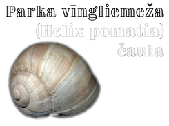 Black font on white background