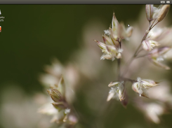 Bootup Screen