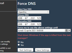 ForceDNS Screenshot 1