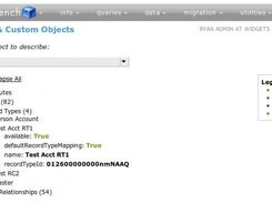 Describing Standard & Custom Objects