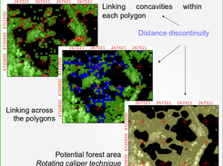 forest01 Screenshot 2