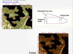 forest01 Screenshot 4