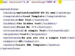 View of the created XML-Formtemplate