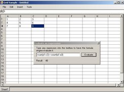Using the formula engine to evaluate an expression