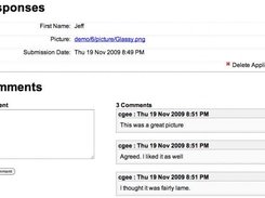 Review of individual application with comment framework