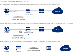 FortiGate SWG Screenshot 1