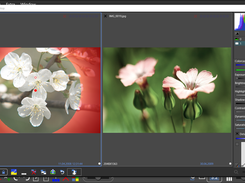 Compare Images in side by side view and use the integrated non-destructive editor