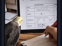 FotoÇaylak (Foto Editor) Screenshot 3