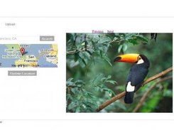 Geo tagging and Photo Browsing.