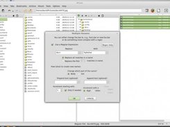 4Pane on mint 13, with the 'multiple rename' dialog 