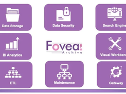 Fovea EHR Archive Screenshot 1