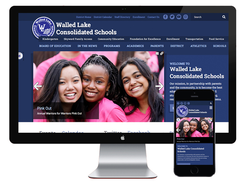 Foxbright CMS for Schools Screenshot 1