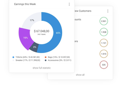 FoxMetrics Screenshot 1