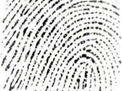 fingerprint