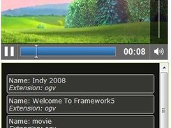 Video Playlist