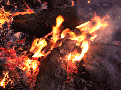 frc4 Screenshot 4