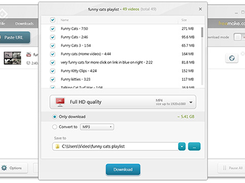 FREE VIDEO DOWNLOADER Screenshot 2