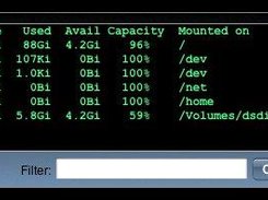 Display of unfiltered disk usage.