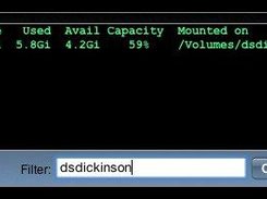 Display of filtered disk usage.