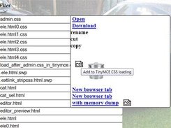filebrower, load css file with tinymce