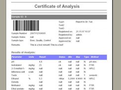 example report