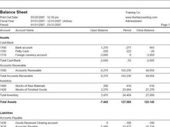 Balance Sheet in PDF