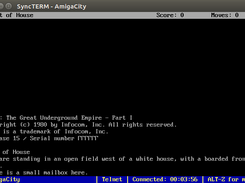 Playing Zork