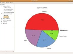 Expenses pie chart