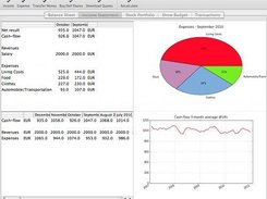 Frugal 1.0 income statement