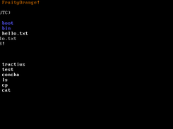 FruityOrange Screenshot 1