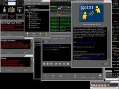 Shows the gaim client connected to the fsimp server