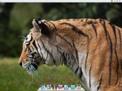 Fuduntu Screenshot 2