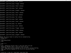Shows 'debug' output