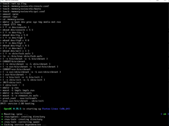 Shows booting openrc