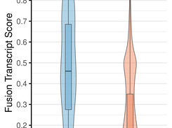 Fusion Transcript Score distribution of fusion genes called in the LL100 cohort.