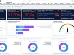 Executive Dashboard View