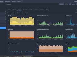 Monitor in real-time