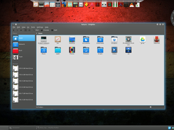 The file manager (Dolphin)