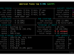 Fuzzing Project Screenshot 1