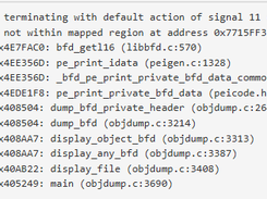 Fuzzing Project Screenshot 1