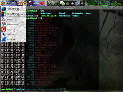 fvwm-xiange Screenshot 2