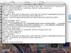 Comprehensive server log terminal