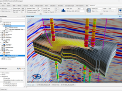 Reservoir/property modeling