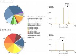 Standard method VS GAAS