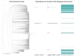 Visualization on a tree